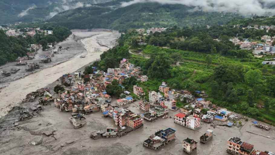 Nepali Labourer's Miraculous Flood Escape: A Mango Tree Saved His Life