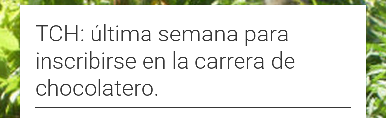 TCH: última semana para inscribirse en la carrera de chocolatero.