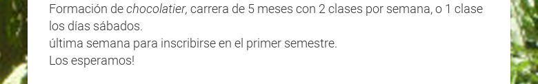 Formación de chocolatier, carrera de 5 meses con 2 clases por semana, o 1 claselos días sábados.última semana para inscribirse en el primer semestre.Losesperamos!