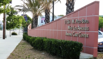 West Los Angeles Animal Care Center