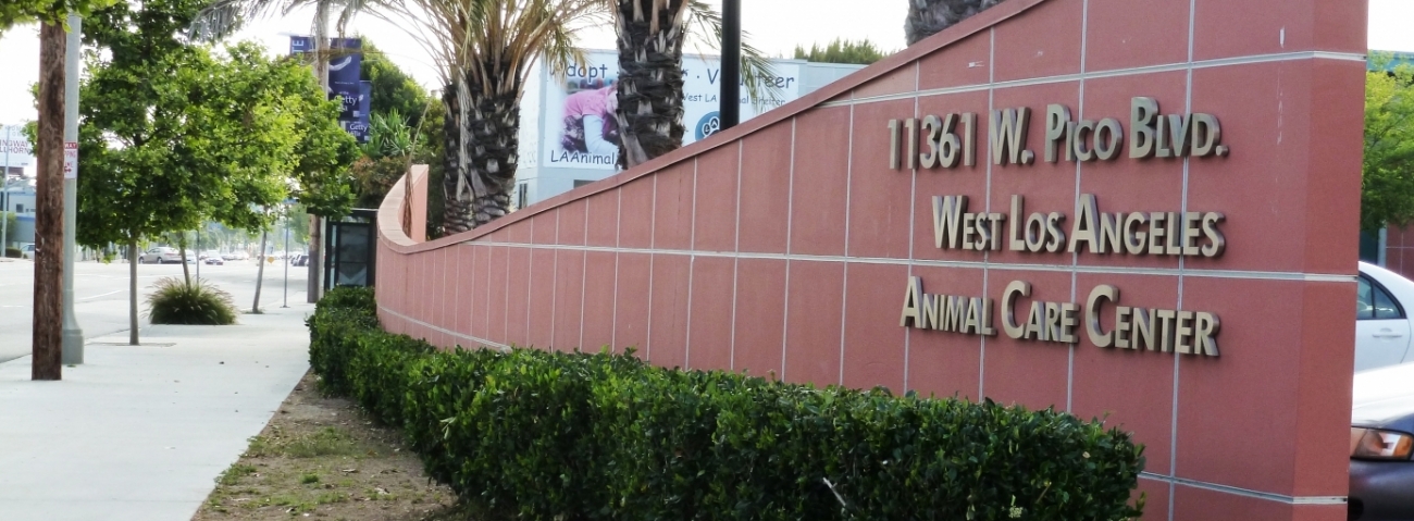 West Los Angeles Animal Care Center - Los Angeles, CA