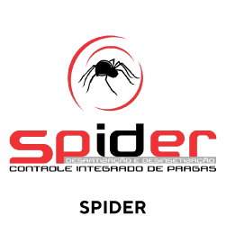 spider_1.png