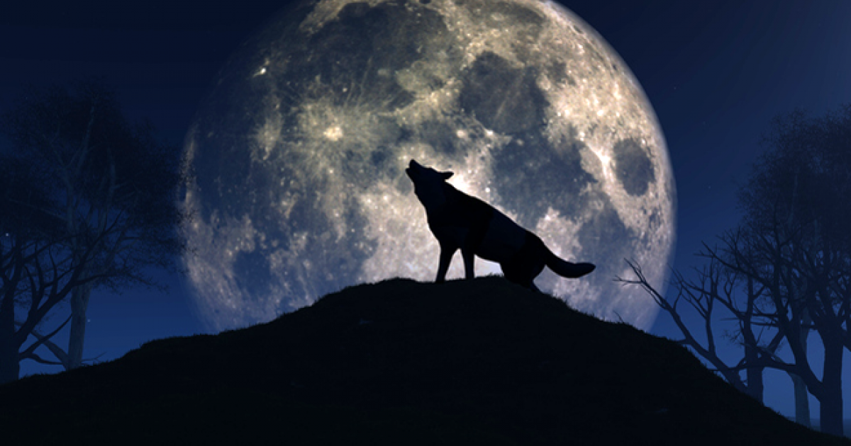 January Wolf Full Moon Guided Meditation for 2023