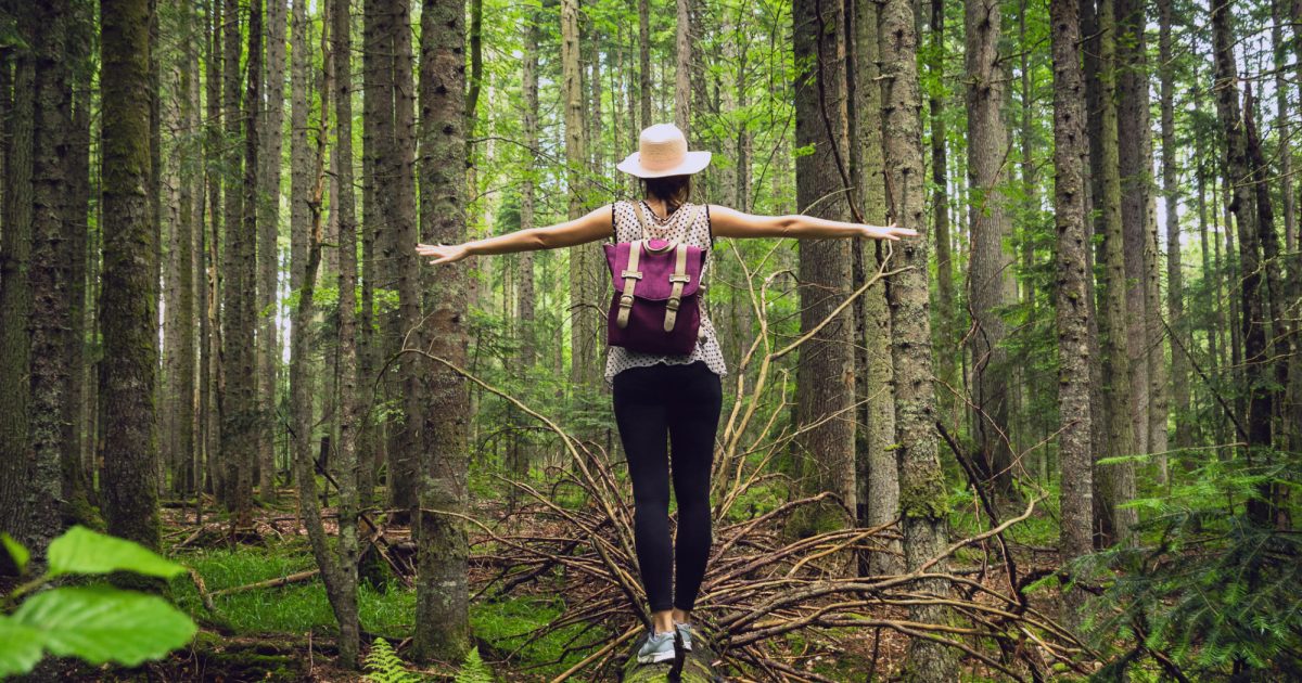 The science of forest bathing: 5 ways it can boost health and lower stress  : Life Kit : NPR