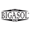 bigasol.com