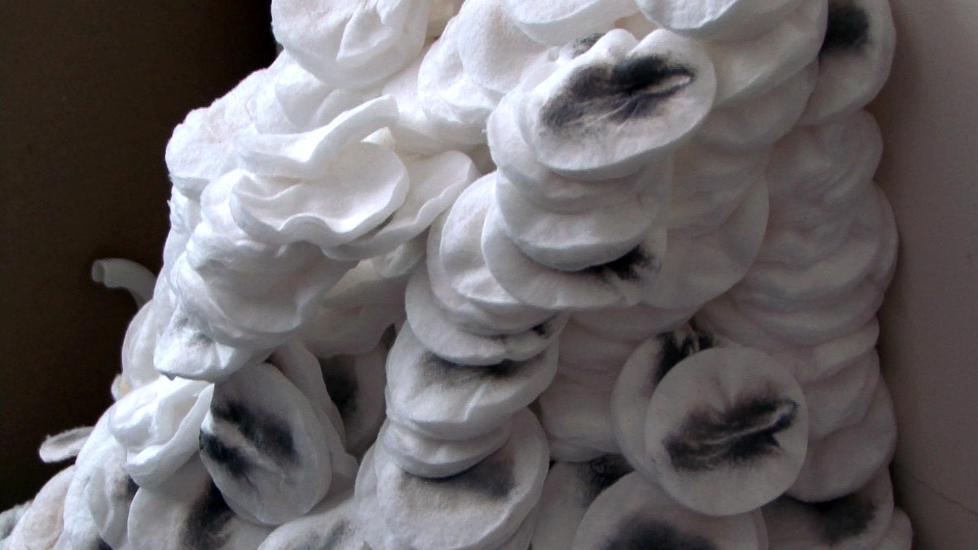 Cotton pads2
