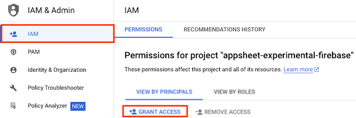 Under IAM, click Grant access