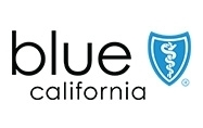 <h4>Blue Shield
</h4> logo