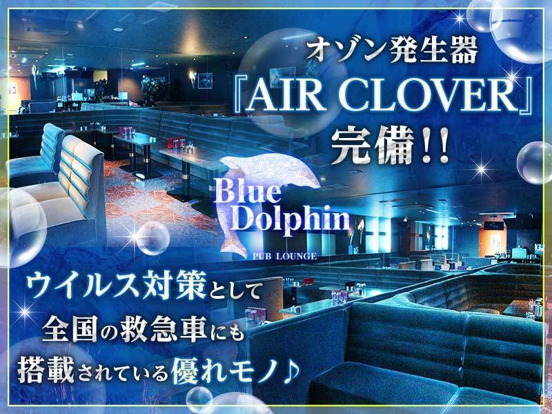 Blue Dolphin 北大阪の求人情報 キャバクラ求人 バイトなら体入ドットコム 関西版
