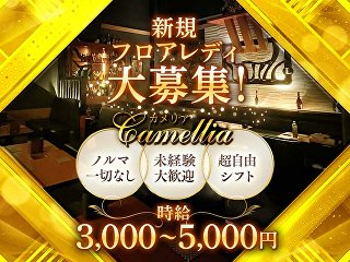 体入掲載club camelliaの画像