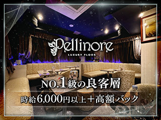 体入掲載LUXURY FLOOR Pellinoreの画像