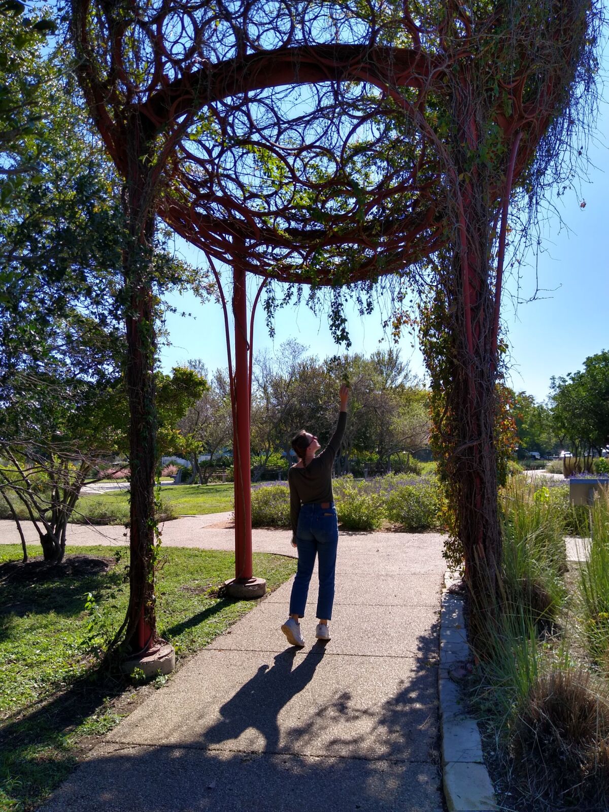 IMG 20211106 133150156 HDR IMG 20211106 133150156 HDR