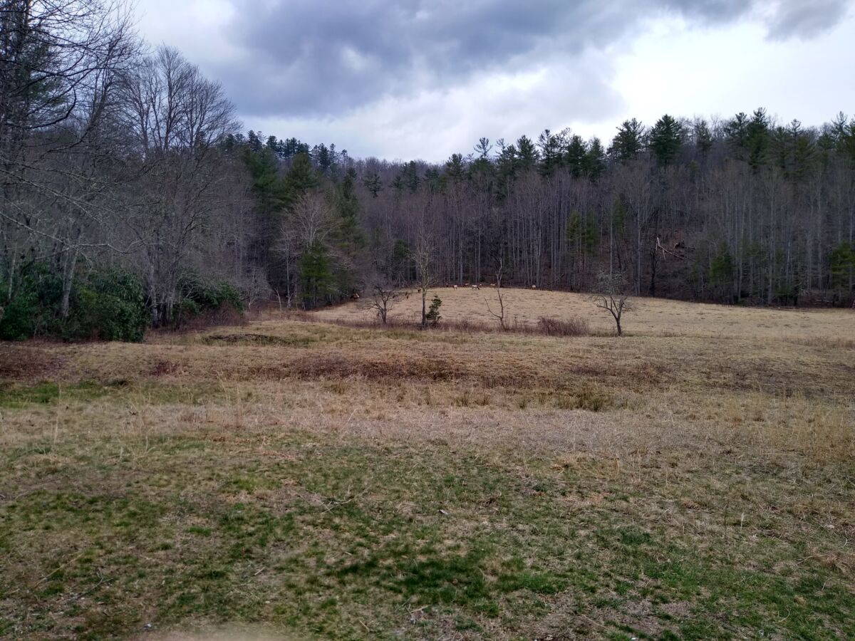 IMG 20220315 143134664 HDR IMG 20220315 143134664 HDR