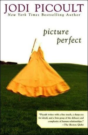 Picture Perfect Cover