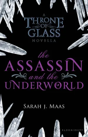 The Assassin and the Underworld Cover