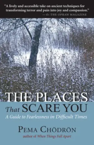 The Places That Scare You: A Guide to Fearlessness in Difficult Times Cover