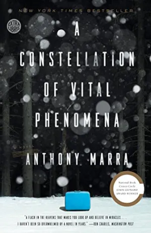 A Constellation of Vital Phenomena Cover