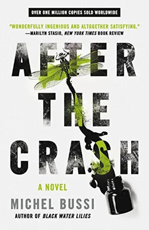 After the Crash Cover