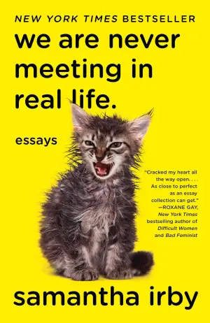 We Are Never Meeting in Real Life. Cover