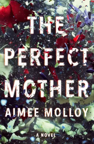 The Perfect Mother Cover