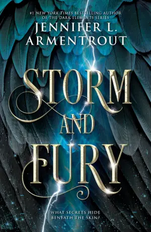 Storm and Fury Cover