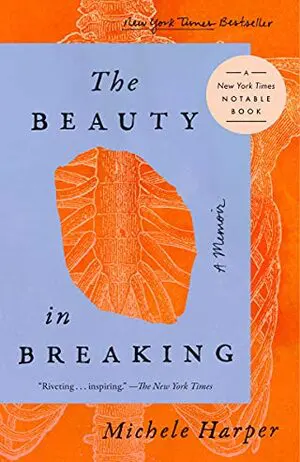 The Beauty in Breaking Cover