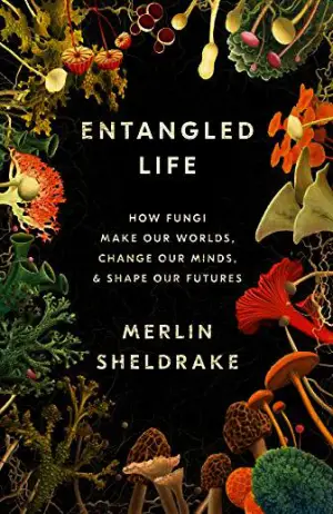 Entangled Life: How Fungi Make Our Worlds, Change Our Minds & Shape Our Futures Cover