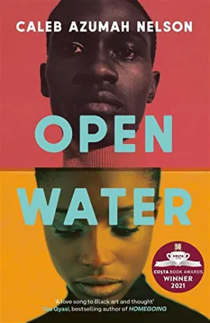 Open Water Cover