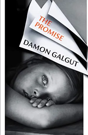 The Promise Cover