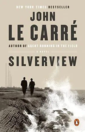 Silverview Cover