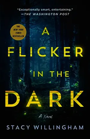 A Flicker in the Dark Cover
