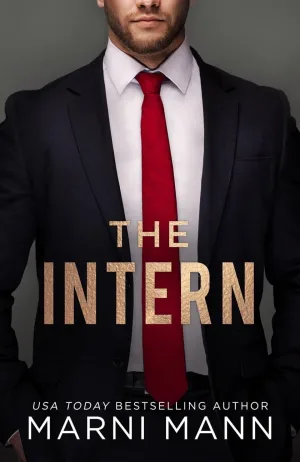 The Intern Cover