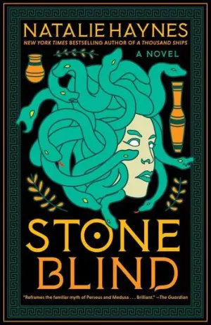 Stone Blind Cover