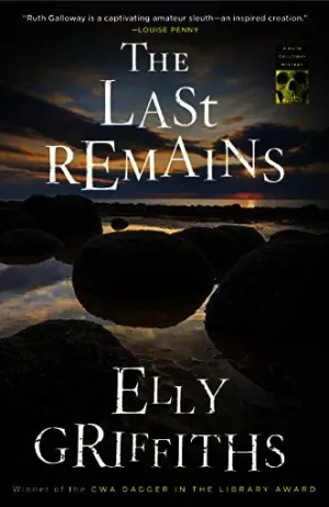 The Last Remains Cover