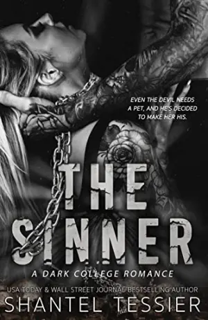 The Sinner Cover