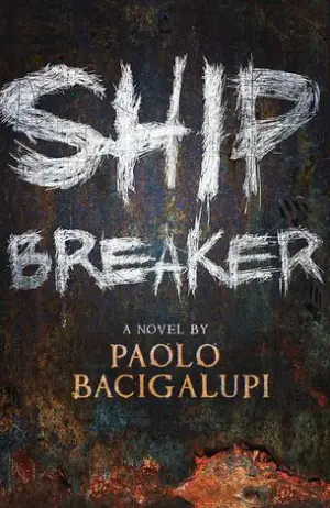 Ship Breaker Cover