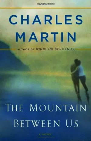 The Mountain Between Us Cover