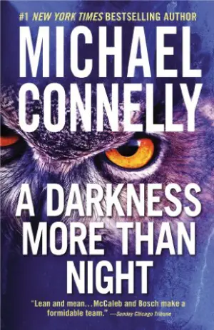 A Darkness More Than Night Cover