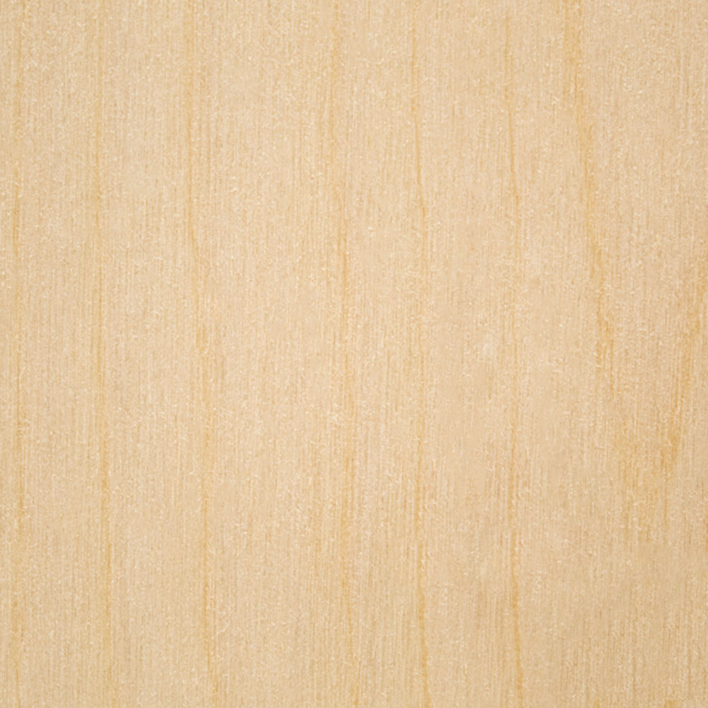 Baltic Birch Plywood, 6 mm 1/4 x 8 x 8 Inch, B/BB Grade Sheets, Woodpeckers