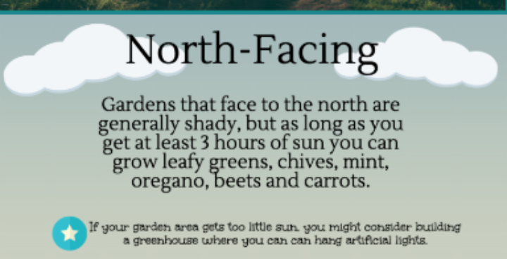 North-Facing