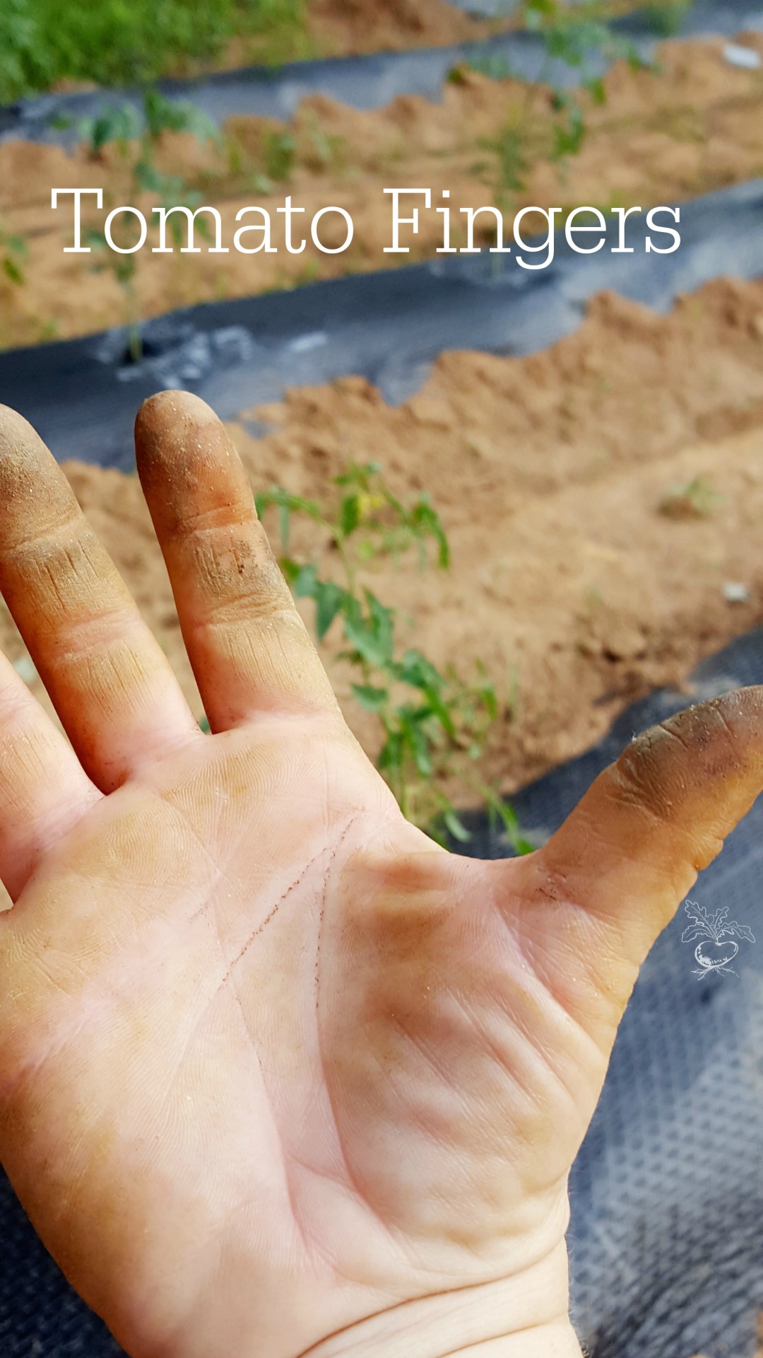 Tomato fingers happen, but how do you clean them easily? www.youshouldgrow.com