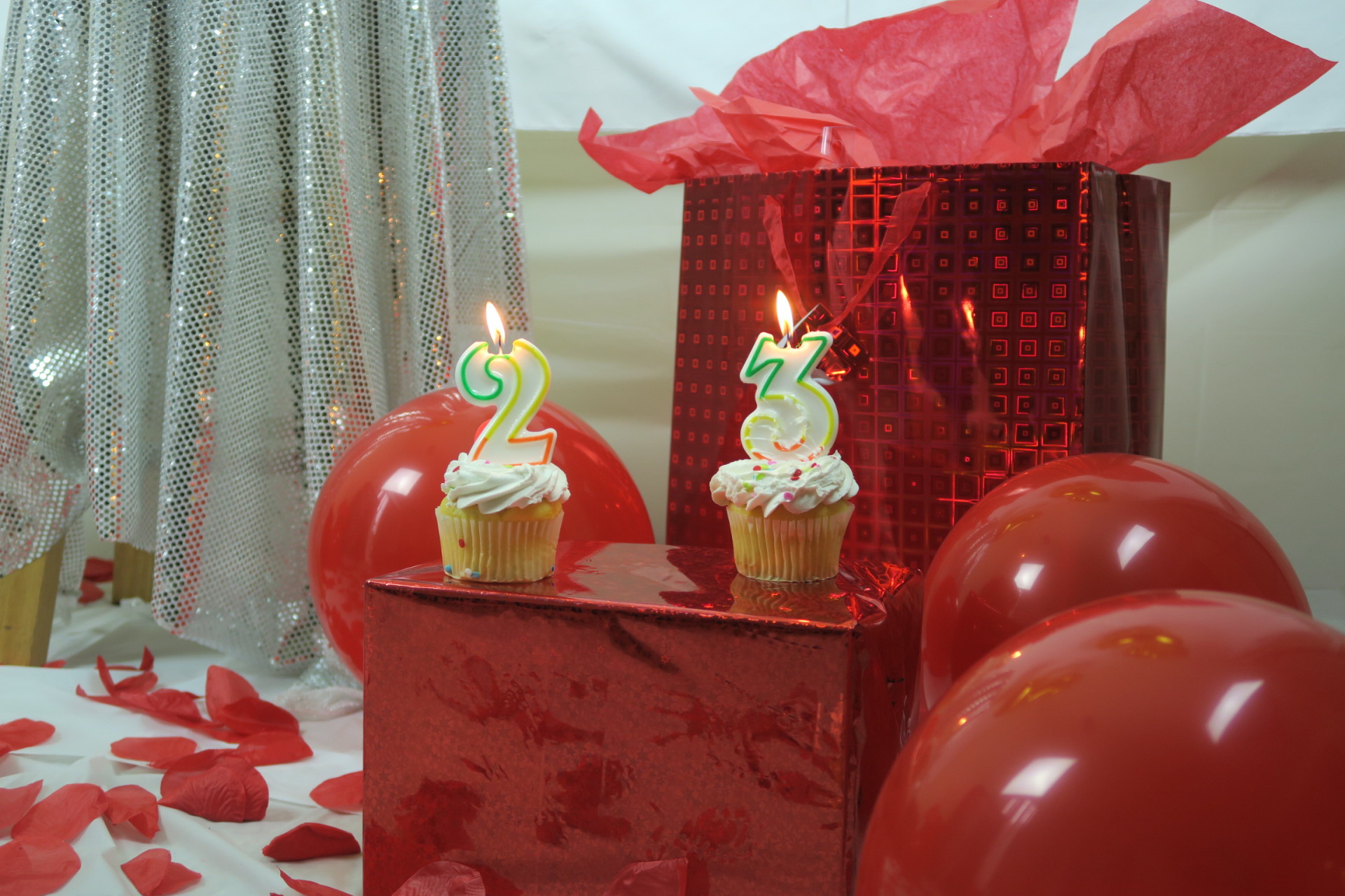 Shooting 23 S Birthday Photoshoot
