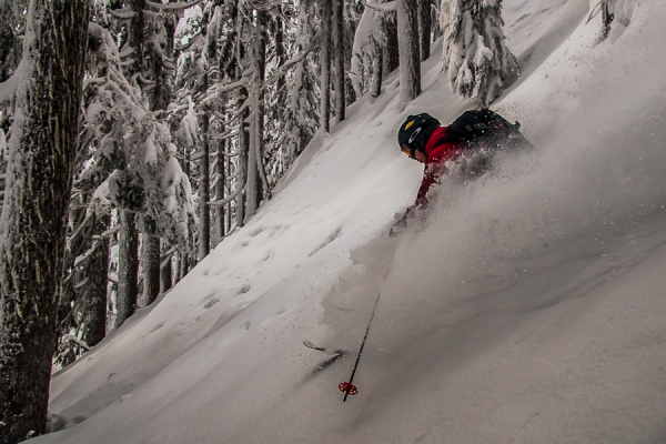 Tree skiing near Squamish