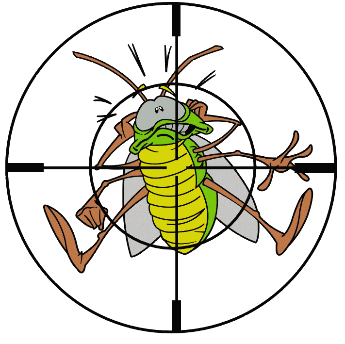 Check this out! Pest Control Rosamond Pest Control Rosamond Check this out!