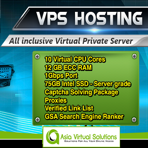 SEO VPS Server