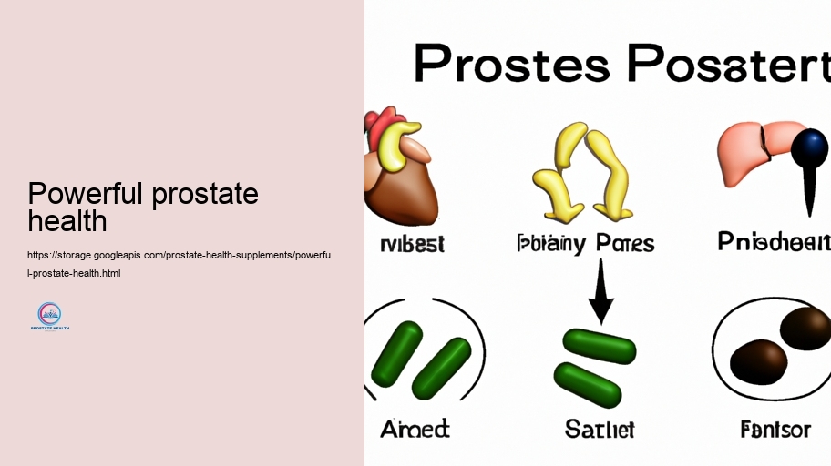 Practical Unfavorable Influences and Communications of Prostate Supplements