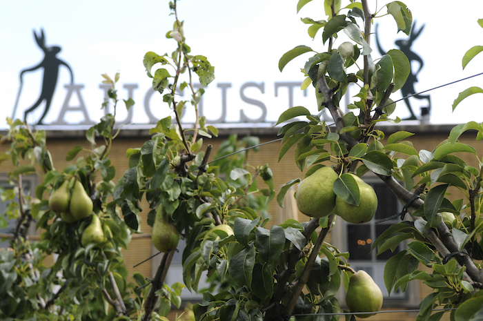 Peren in de moestuin 