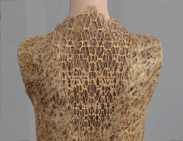Rugpand van de jurk Rootbound