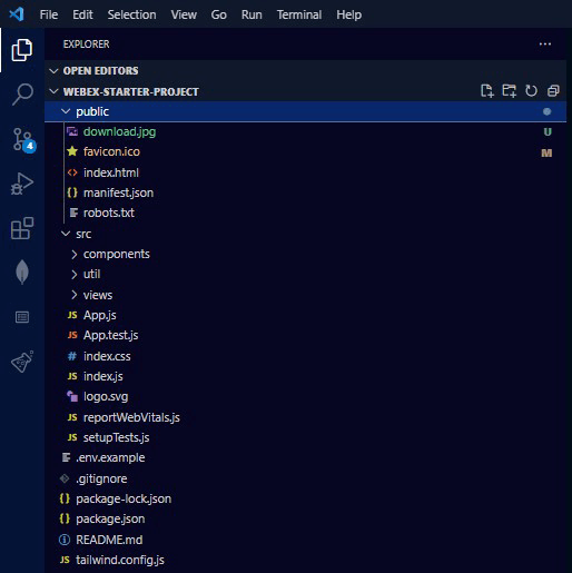 Webex Clone Starter Files