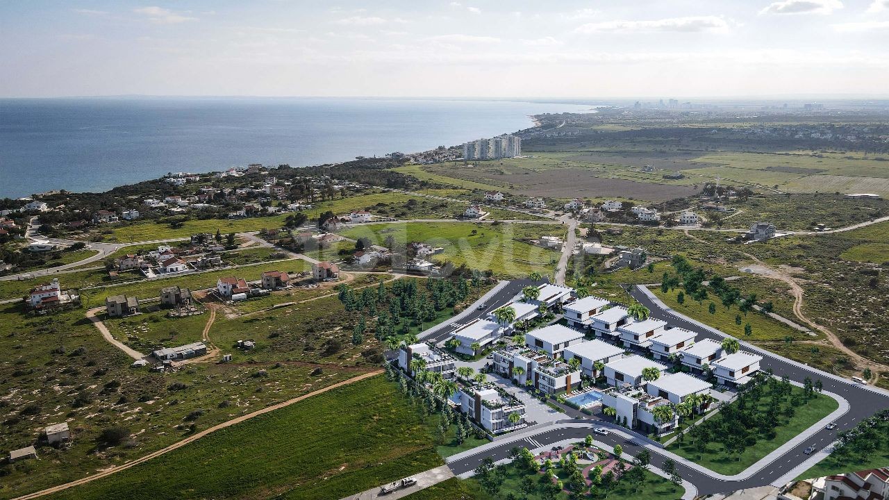 Gelenekten İlham, Geleceğe Yön